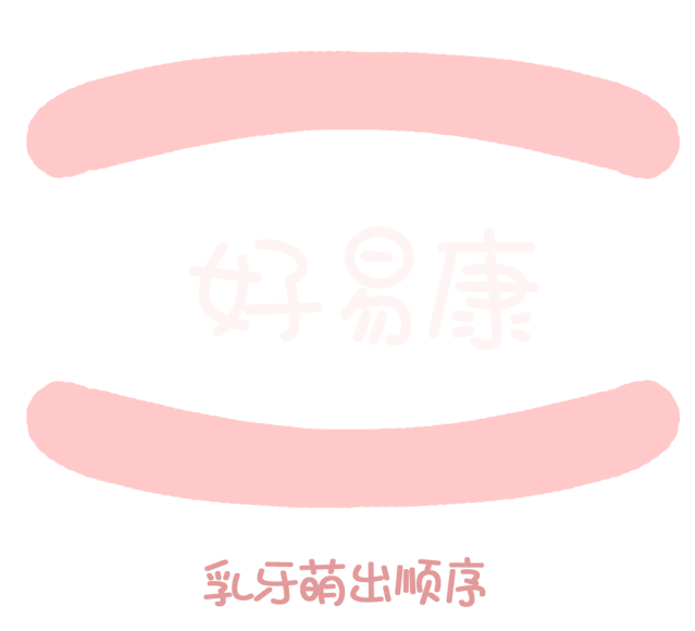 尚佳專業(yè)月嫂丨關(guān)于寶寶長牙問題，都在這里！